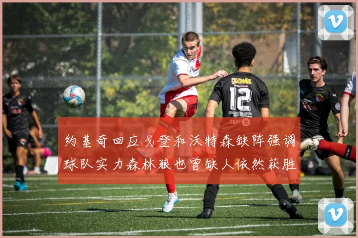 约基奇回应戈登和沃特森缺阵强调球队实力森林狼也曾缺人依然获胜