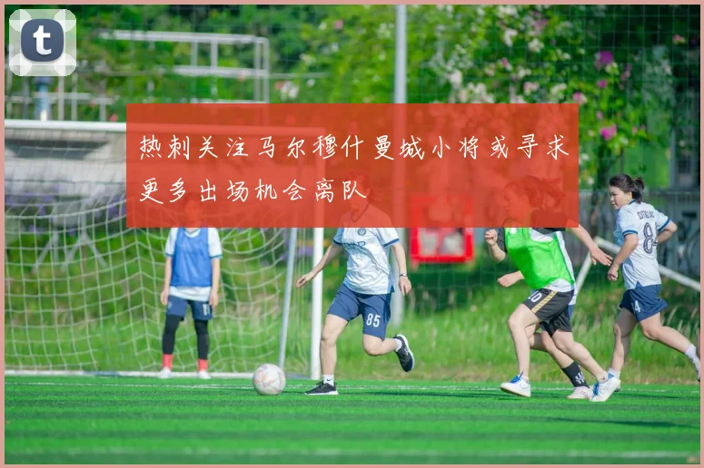 热刺关注马尔穆什曼城小将或寻求更多出场机会离队