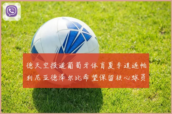 德天空报道葡萄牙体育夏季追逐帕利尼亚德泽尔比希望保留核心球员
