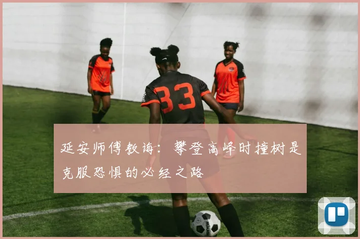 延安师傅教诲：攀登高峰时撞树是克服恐惧的必经之路